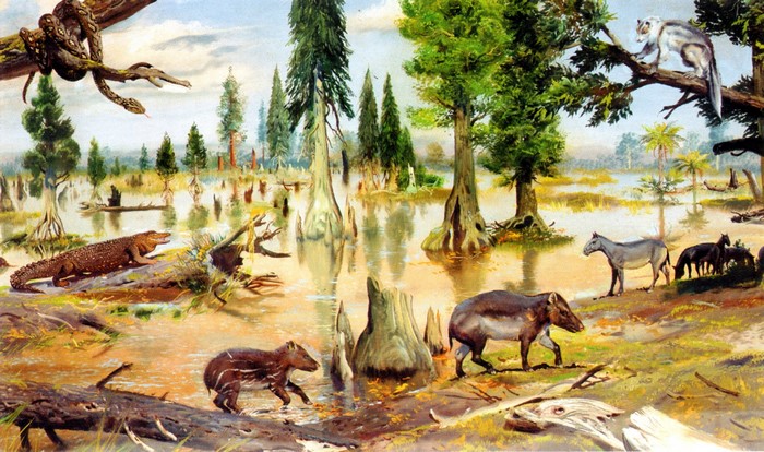 Eocene marsh fauna by Zdenek Burian