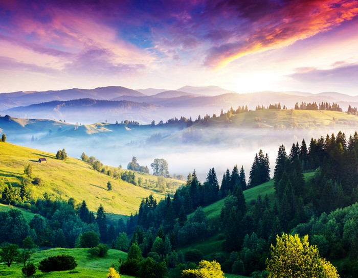 4K Scenic Mountain and Forest Landscape in Ukraine