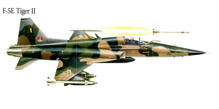 F-5E Tiger II Fighter Airplane Firing Missile