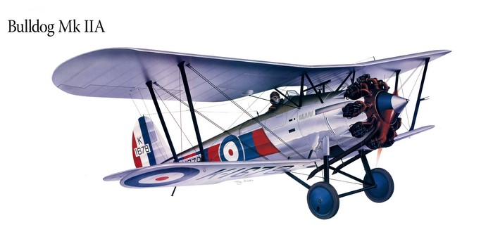 Bulldog Mk IIA Airplane Painting Art