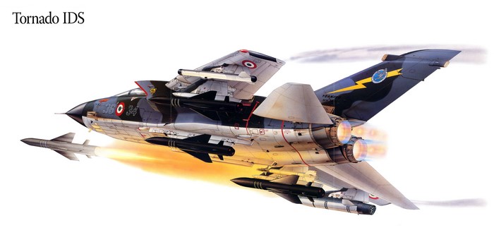 Tornado IDS fighter jet painting