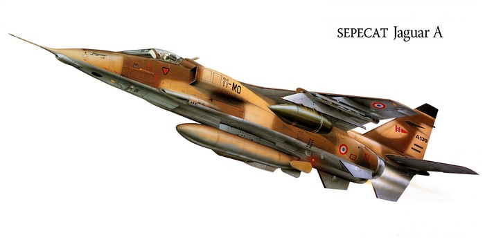 SEPECAT Jaguar A Fighter Airplane Painting