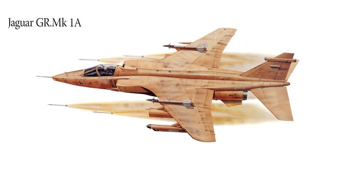 Jaguar GR.Mk 1A fighter jet painting
