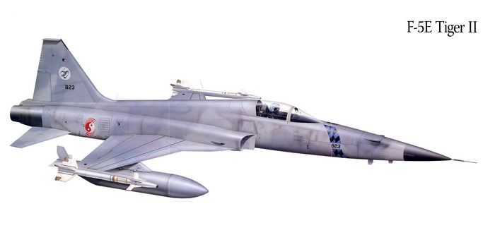 F-5E Tiger II Fighter Airplane Painting Art
