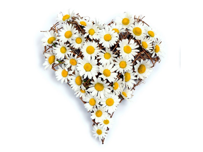 Heart shape made of daisies and twigs