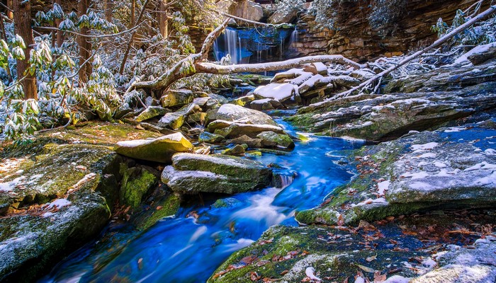 Snowy stream and waterfall in a forest