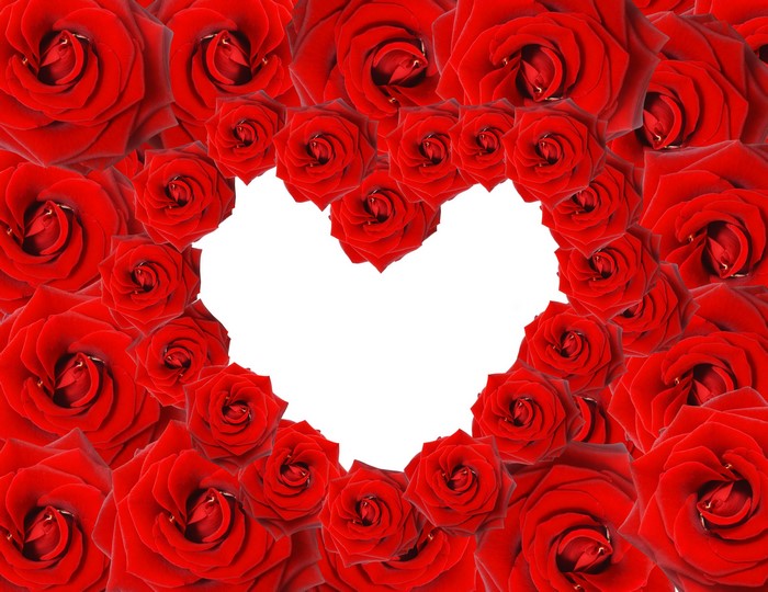Red Roses Forming a Heart Shape