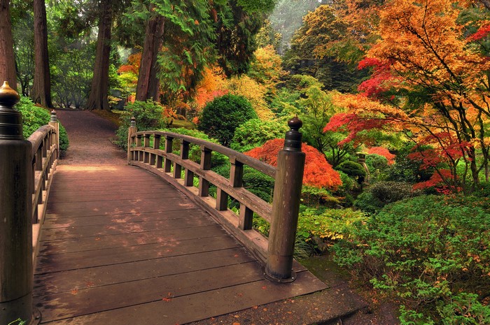 Gardens Bridges Shrubs