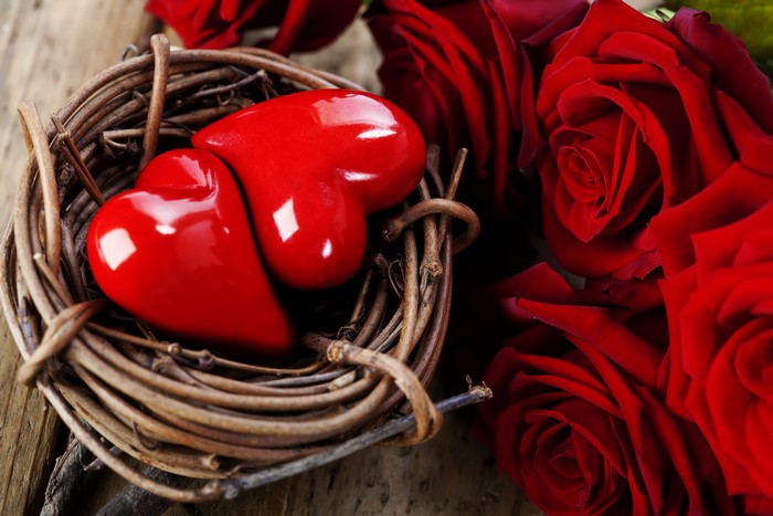 Two red hearts in a nest with red roses