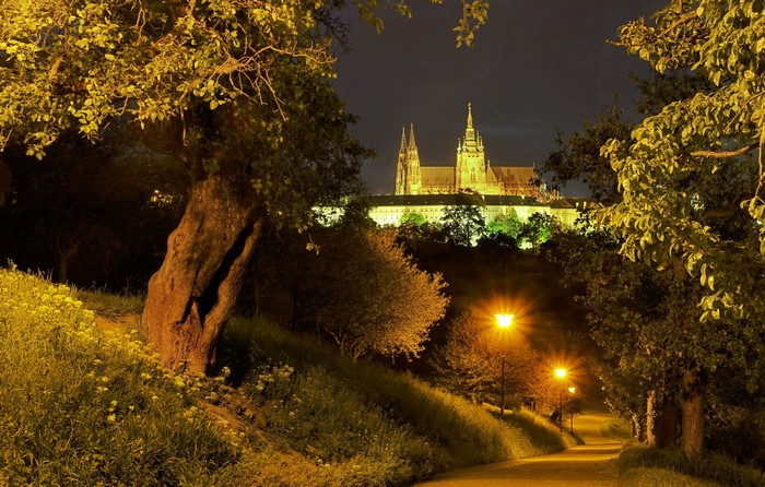 Prague Castle at night with street lights and trees