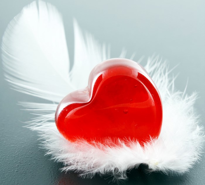 Red Heart on White Feather