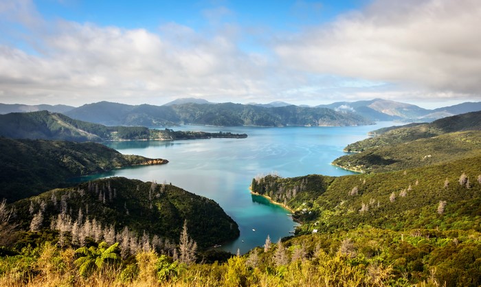 Marlborough Sounds, New Zealand Landscape