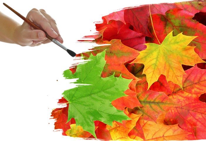 Hand painting autumn leaves