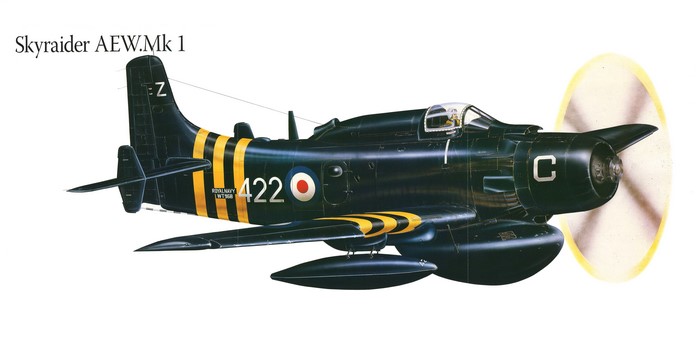 Skyraider AEW.Mk 1 Airplane Painting Art