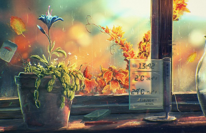 Digital thermometer and potted plant by window