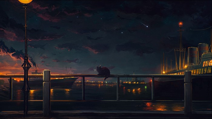 Cat on a fence overlooking ships at night