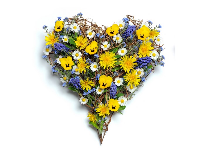 5K 6K Camomiles Pansies Digitalis Heart