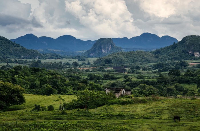 Vinales Cuba Mountains and Fields