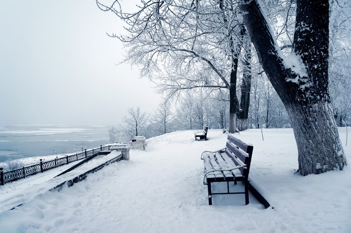 Winter park with snow-covered benches and trees