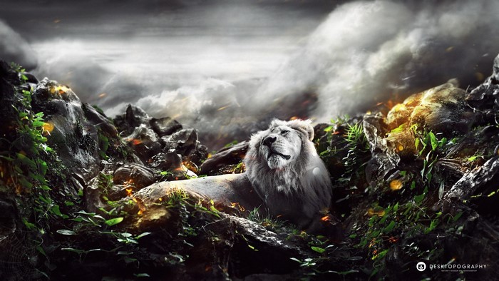 White lion resting among rocks and foliage