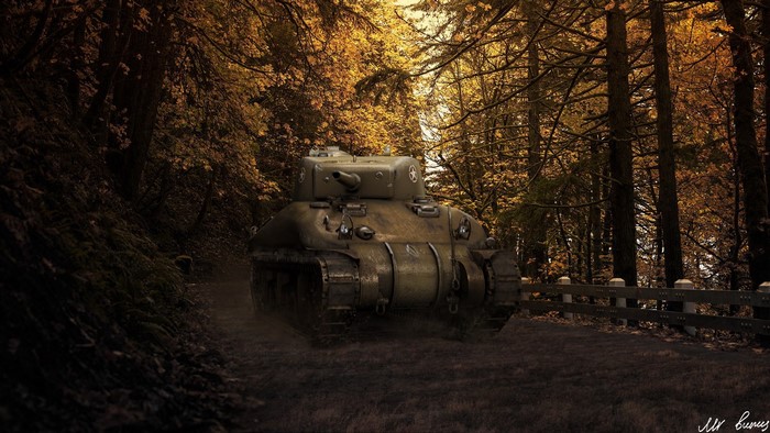 M4 Sherman tank in a forest