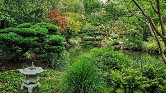 Japanese Garden with Pond and Stone Lantern