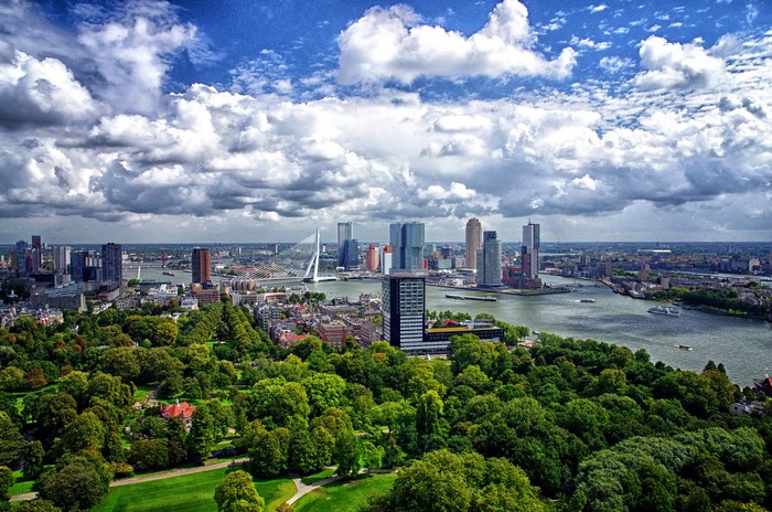 Rotterdam cityscape with Erasmus Bridge and park