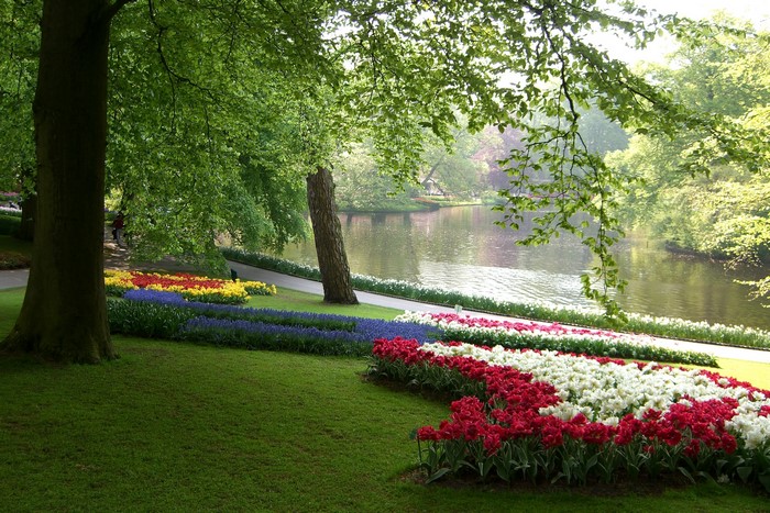 Keukenhof Gardens with Tulips and Pond in Netherlands