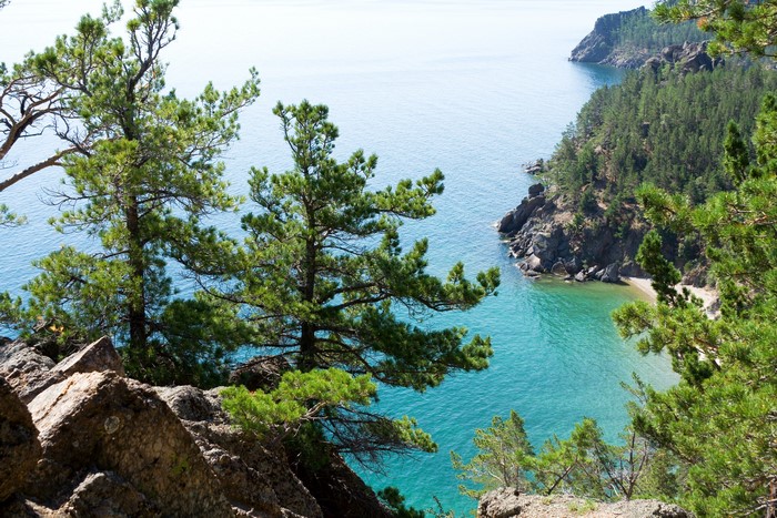 Trees on rocky shore overlooking turquoise bay at Lake Baikal, Russia