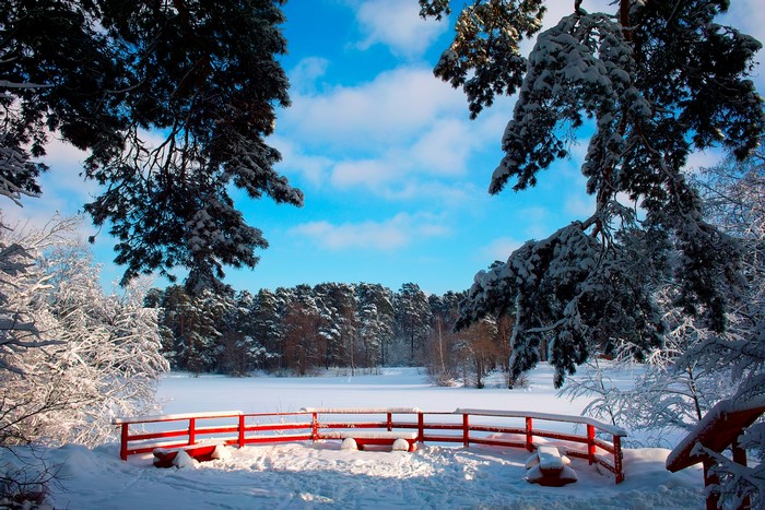 Winter scene with snow-covered trees and a red bridge