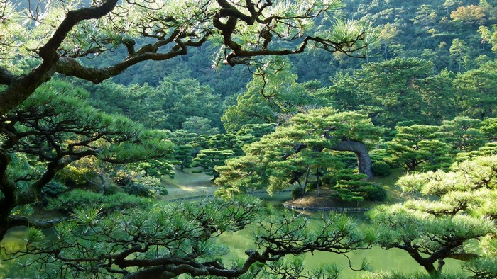 Ritsurin Garden in Takamatsu, Japan with pine trees and pond