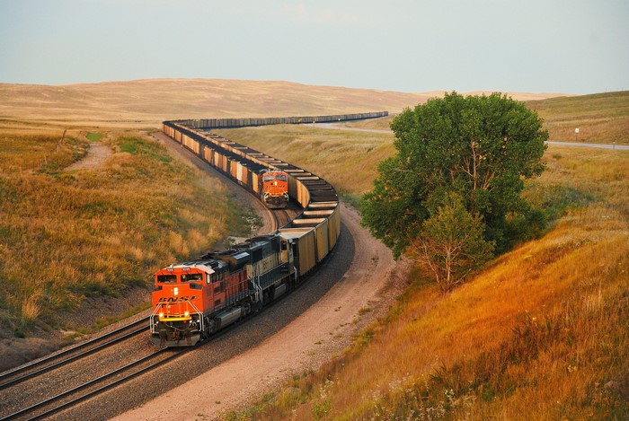 Two BNSF trains on a curved track through a grassy landscape