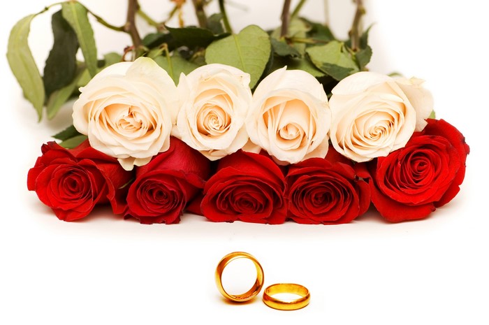 Red and white roses with wedding rings
