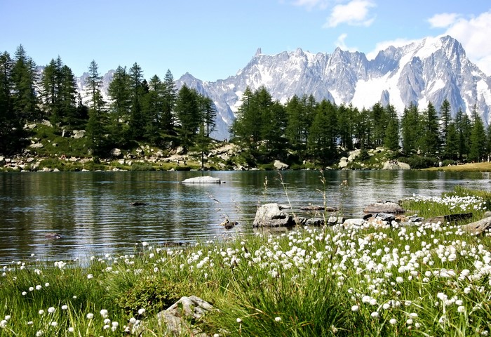 Arpy Lake with Mountains and Trees in Italy