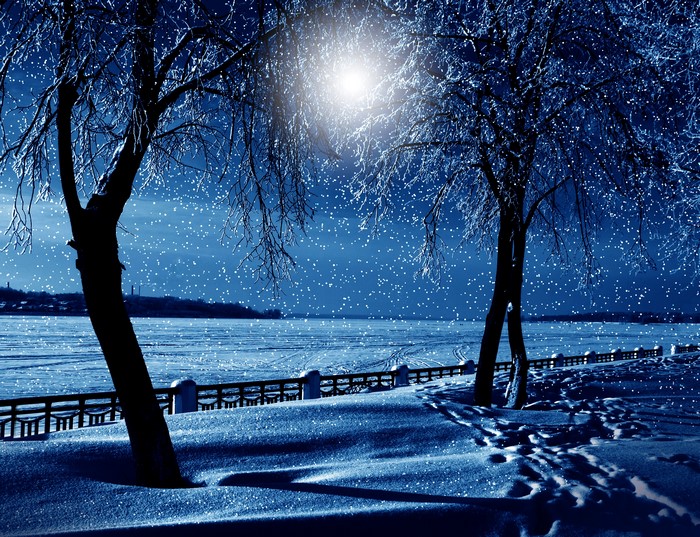 Winter scene with snow falling and trees by a frozen river