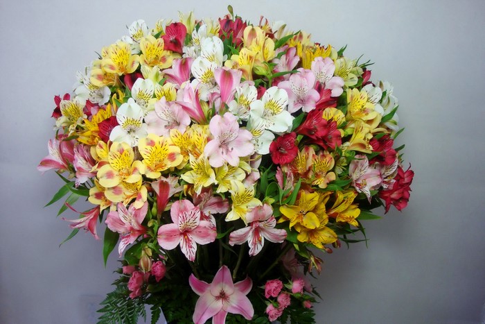 Bouquet of Alstroemeria flowers in various colors