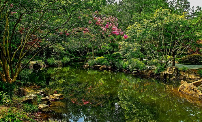 Gibbs Gardens Pond with Lush Greenery and Pink Flowers