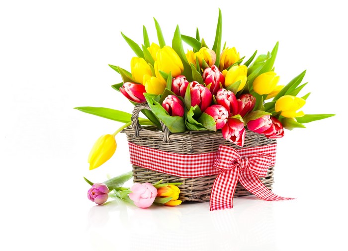 Tulips in a Wicker Basket with Red Bow