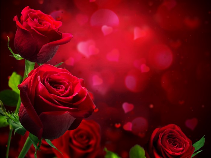 Red Roses with Hearts Bokeh