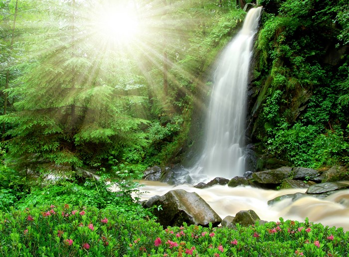 Waterfall with Sunbeams in a Forest