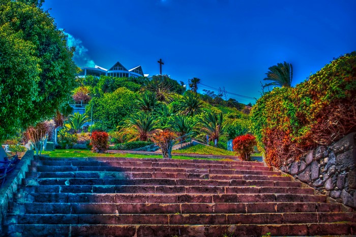 Stone stairs leading up a hill with palm trees and a building