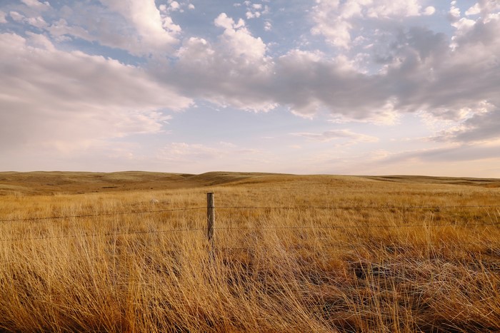 Golden Field with Fence and Cloudy Sky