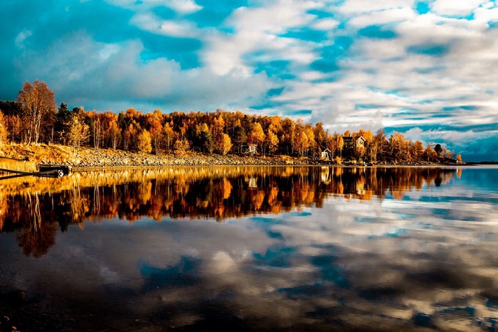 Autumn trees reflecting in a lake under a cloudy sky