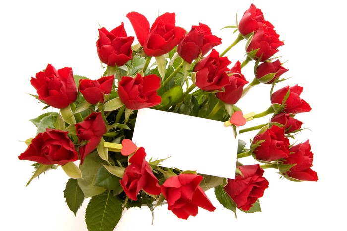 Red Roses Bouquet with Blank Card