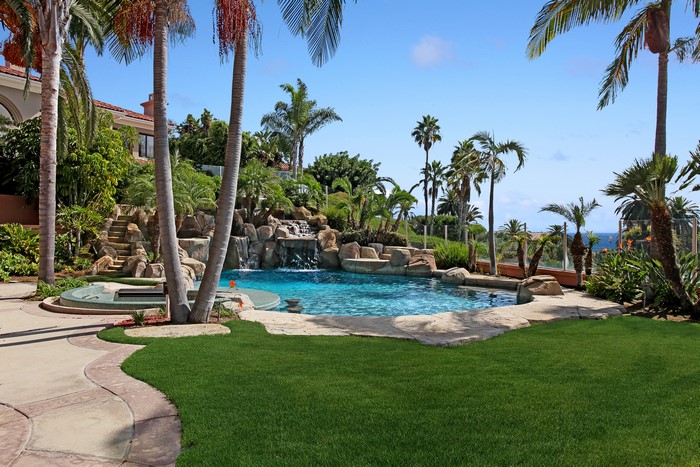Luxury backyard with pool, waterfall, and palm trees