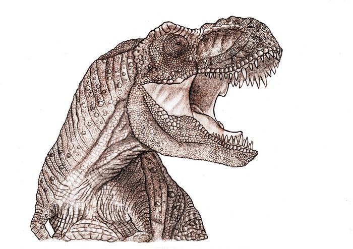 Tyrannosaurus Rex Dinosaur Painting