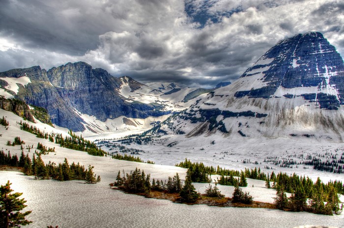 Snowy Mountains and Trees Under Cloudy Sky