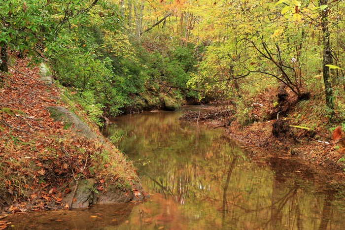 Autumn Forest River in Paulding County, USA