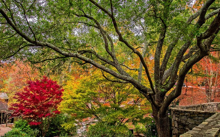 Stone Mountain Park in Autumn