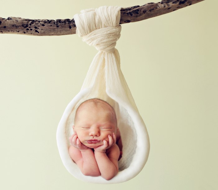 Newborn baby sleeping in a fabric sling hanging from a branch